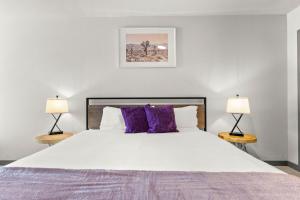 Cozysuites PHX RORO Gym, Pool, Pets, Parking #1