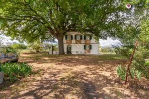 Sotto La Quercia - Welchome - Mozzagrogna