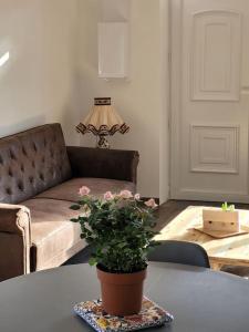 Appartements T2 plain-pied, en centre-ville : photos des chambres