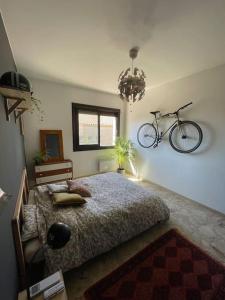 Appartements Superbe appartement climatise - calme absolu : photos des chambres