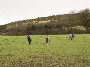 Shepherds Rest Llangrannog