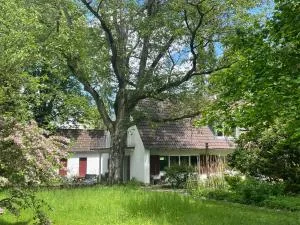 Landhaus in Dießen am Ammersee - Hofmarksgasse