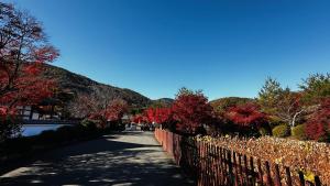arashiyama villa Serenitas kyoto 嵐山ヴィラ セレニタス京都