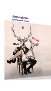 Apartment Roku 2025 - JELEŃ & NATURA