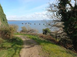 Maisons de vacances Presqu-ile de Crozon - proche voie verte et plage : photos des chambres