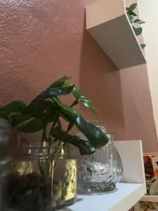 Mayyah Guest House - Kampong Chicha