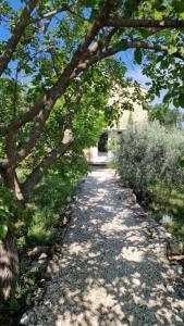 Maisons de vacances Le Mazet Josephine : photos des chambres