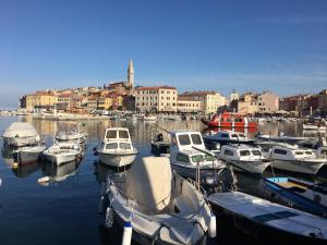 Apartment in Rovinj with balcony, air conditioning, WiFi, washing machine 5116-1