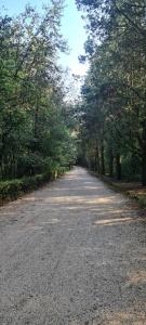 Apartment in Rovinj with balcony, air conditioning, W-LAN, washing machine 5116-2