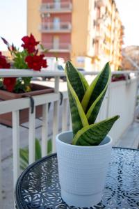 Casa Vacanze La Casetta di Zinu