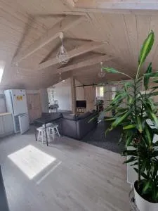 Apartament 3-cie piętro - Wolany