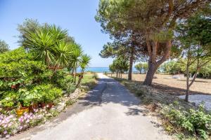 Casa Di Mare - Studios and Apartments on the beach, by ZanteWize