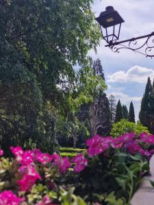 Vicolo d'Este