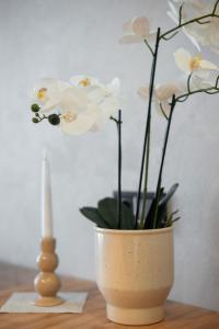 Зручне житло в Києві апартаменти MYFREEDOM біля метро Нивки