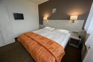 Hotel Vega Luhacovice