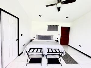 Black & White Apartments