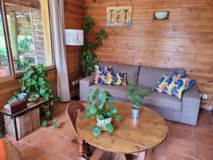 Maisons de vacances evasion exotique a 700 metres de la plage : photos des chambres