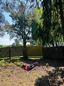 WILD DUCK HAVEN RESORT