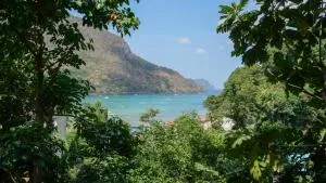 The Piupiu Nest - Iriga