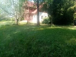 Z górki na Mazurki, zaciszny domek nad jeziorem - Borki