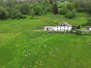 Maisons d'hotes La Ferme sous les Hiez : photos des chambres