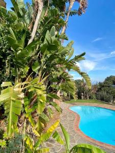 Appartements Villa les Alizes : photos des chambres