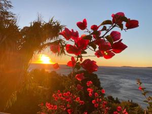 Appartements Villa les Alizes : photos des chambres