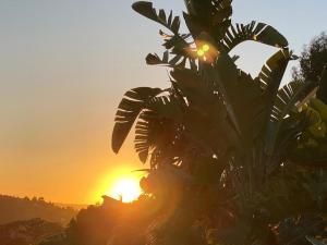 Appartements Villa les Alizes : photos des chambres