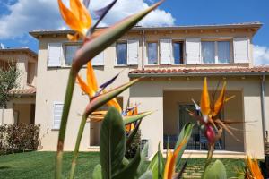 Le Spiagge di San Teo img74