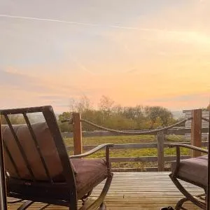 Nest and Nurture - Whitestone