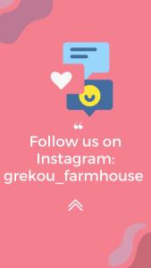 Grekou Farmhouse in the waves