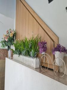 Chuỗi căn Harbour Bay 7 Ngủ - bán đảo 2 Bim Hùng Thắng- Bãi Cháy- gần bãi biển Bim Marina