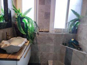 Villas Spassionnement : photos des chambres