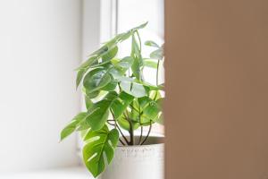 Beato Riverside Cozy Apartments