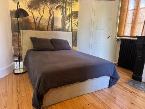 Maisons d'hotes Chateau a Toulouse : photos des chambres