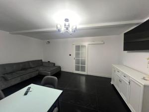 Apartament cu gradina central