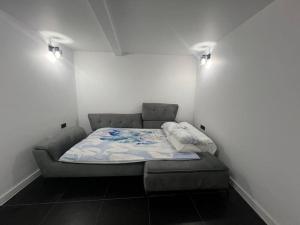 Apartament cu gradina central