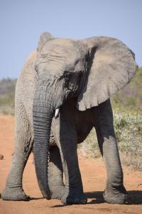 The Bushveld Farmhouse in Mabalingwe Nature Reserve