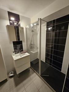 Appartements L-ambassadeur - Parking - Calme - 5 min centre Pau : photos des chambres