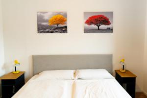 Appartamento Colonia