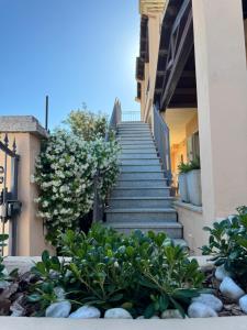 Olbia Smeralda img28