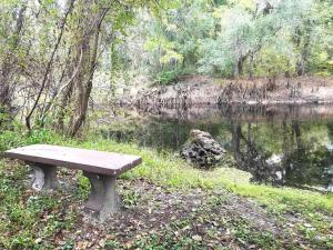 River Daze Cabin - A cozy cabin right on the river