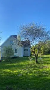 Villa Matilda - 诺基亚