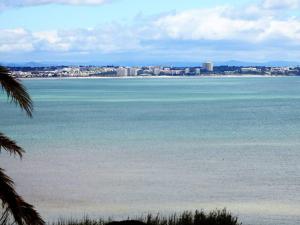 Lagos Love Bay -Clean and Save program