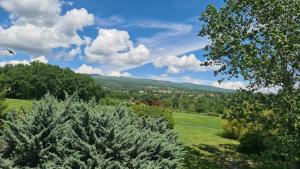 Hotels Angeprovence : photos des chambres