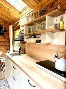 Urocza chatka w lesie nad wodą