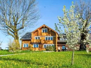 阿尔卑施泰因山景公寓 - Haslen