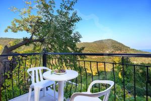 Zeus Guesthouse