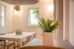 Barchessa Cappelletto