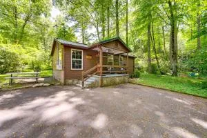 Pet-Friendly Creekside Cabin with Pool Access! - Balsam